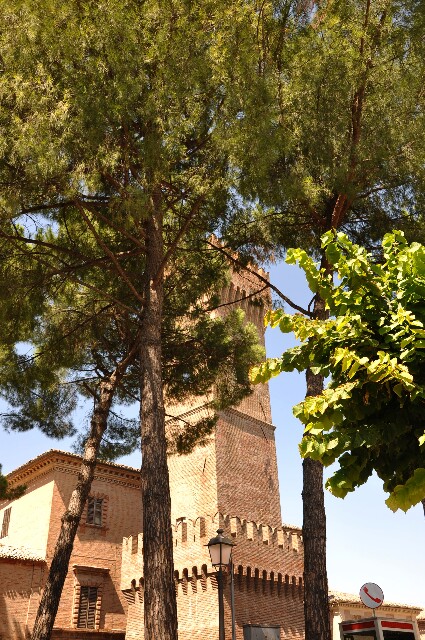 min 2009 08 18 ostra 118